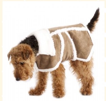 suede dog coat