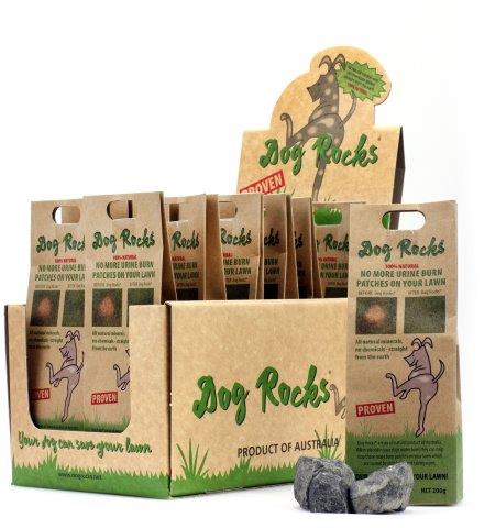dog-rocks-point-of-sale-low-res
