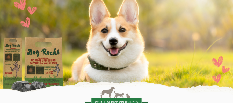 Corgi Dog with Dog Rocks packets and pink hearts